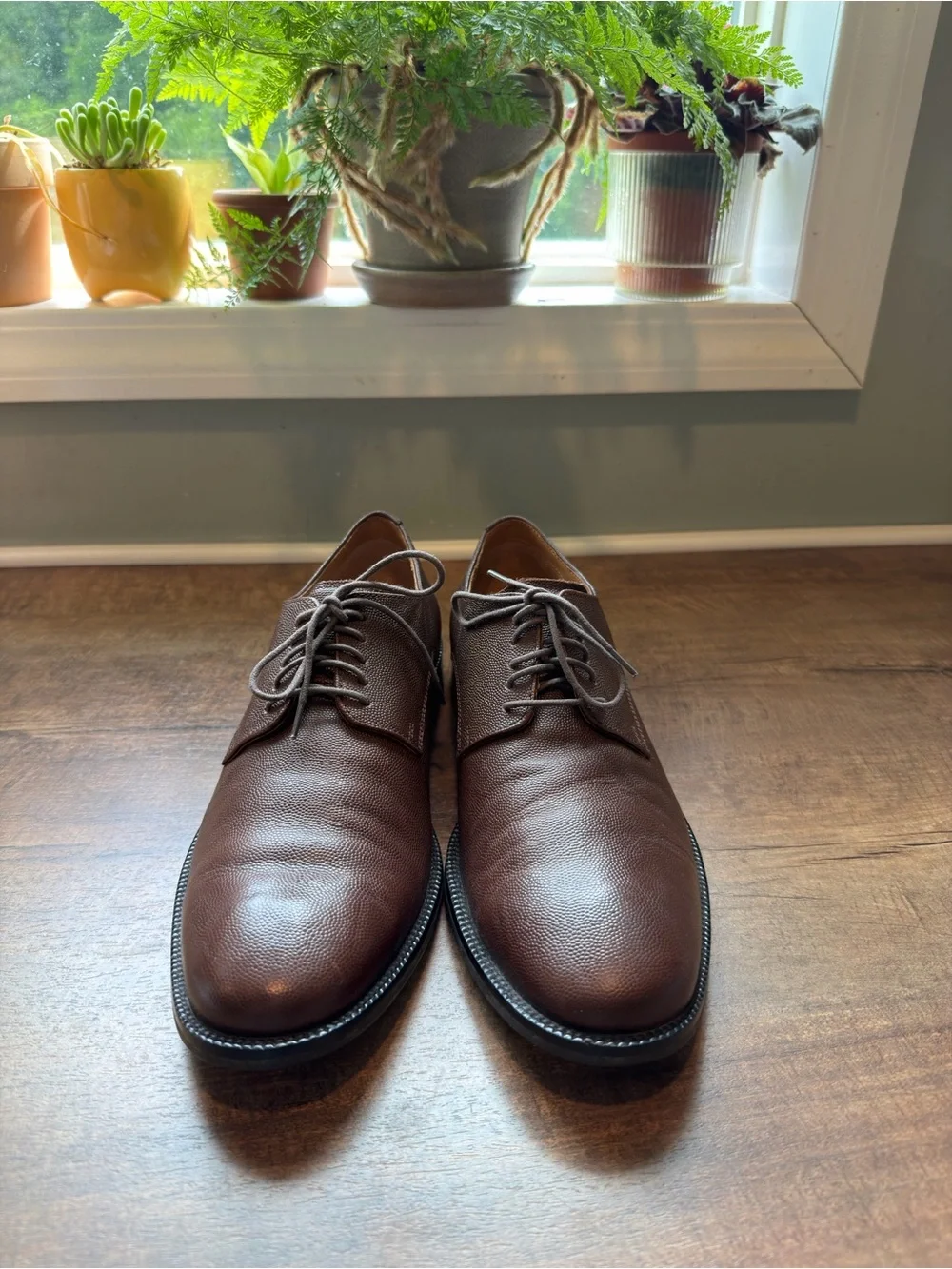 Cole Haan Men's Brown Leather Derby Shoes - Grained Lace-Up 9